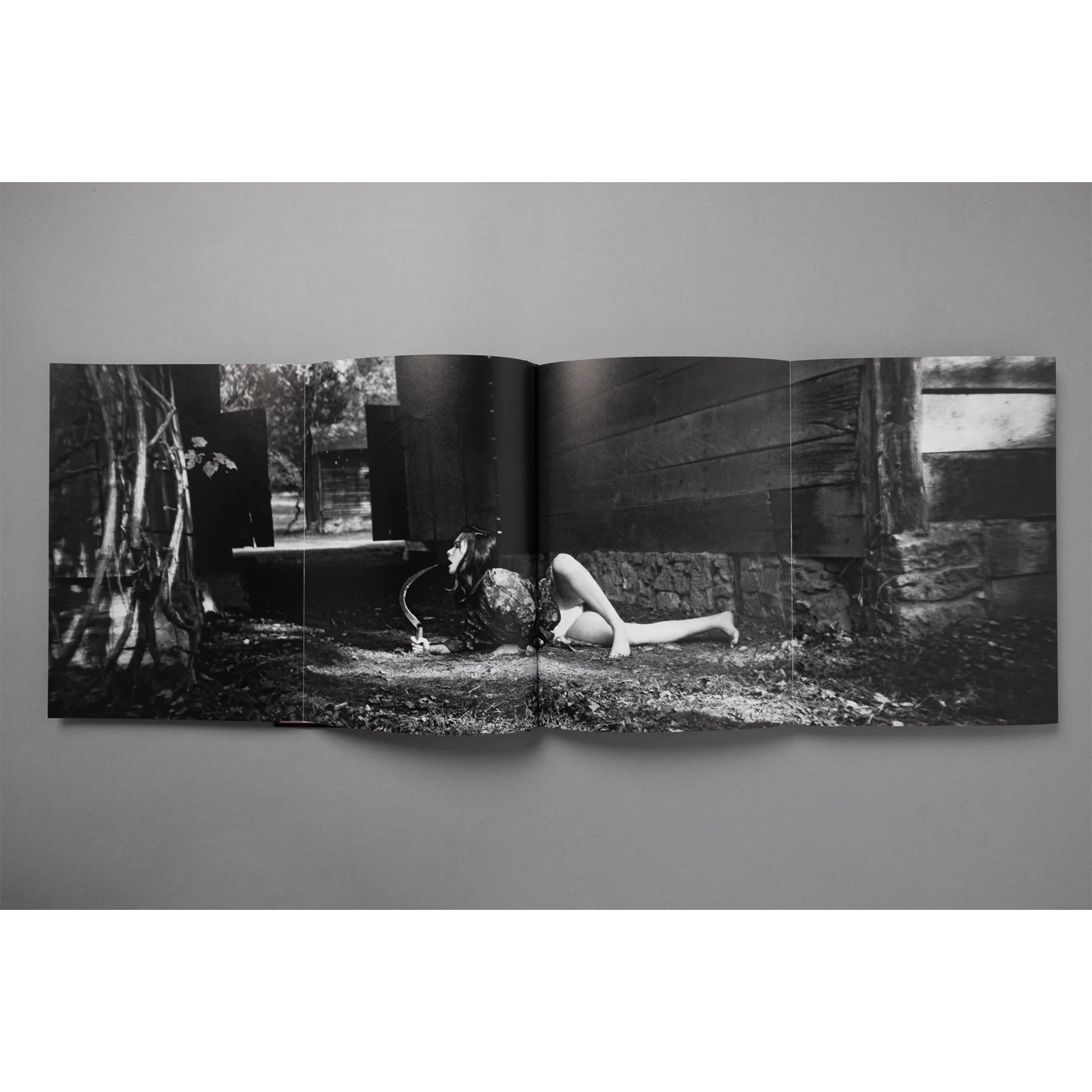 The King of All the Land Book - Image 11
