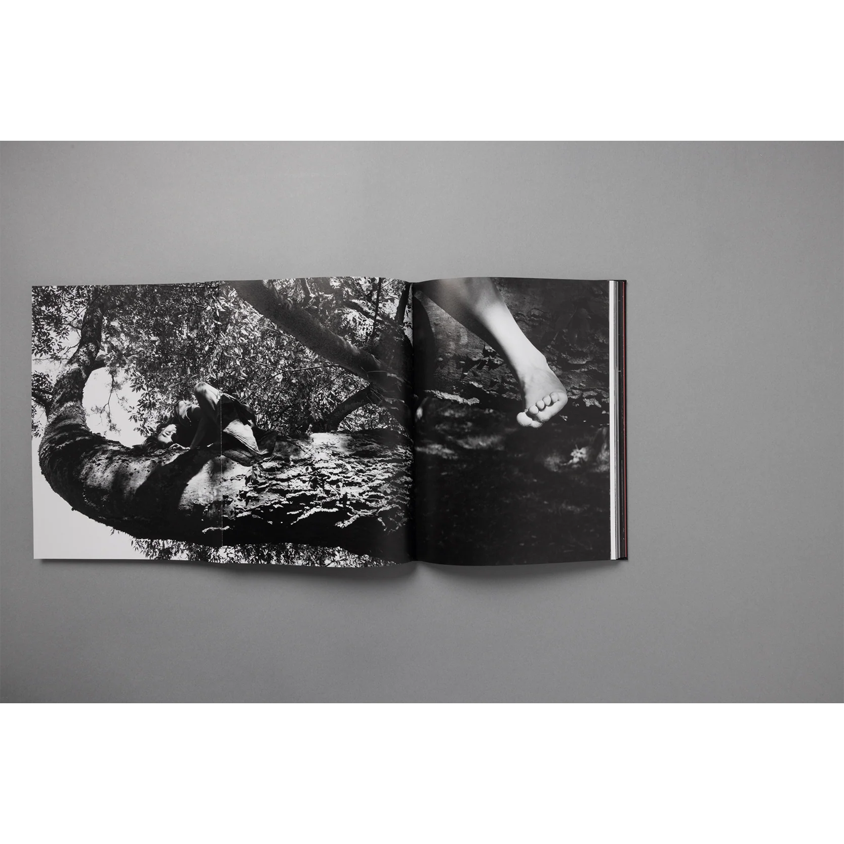 The King of All the Land Book - Image 12