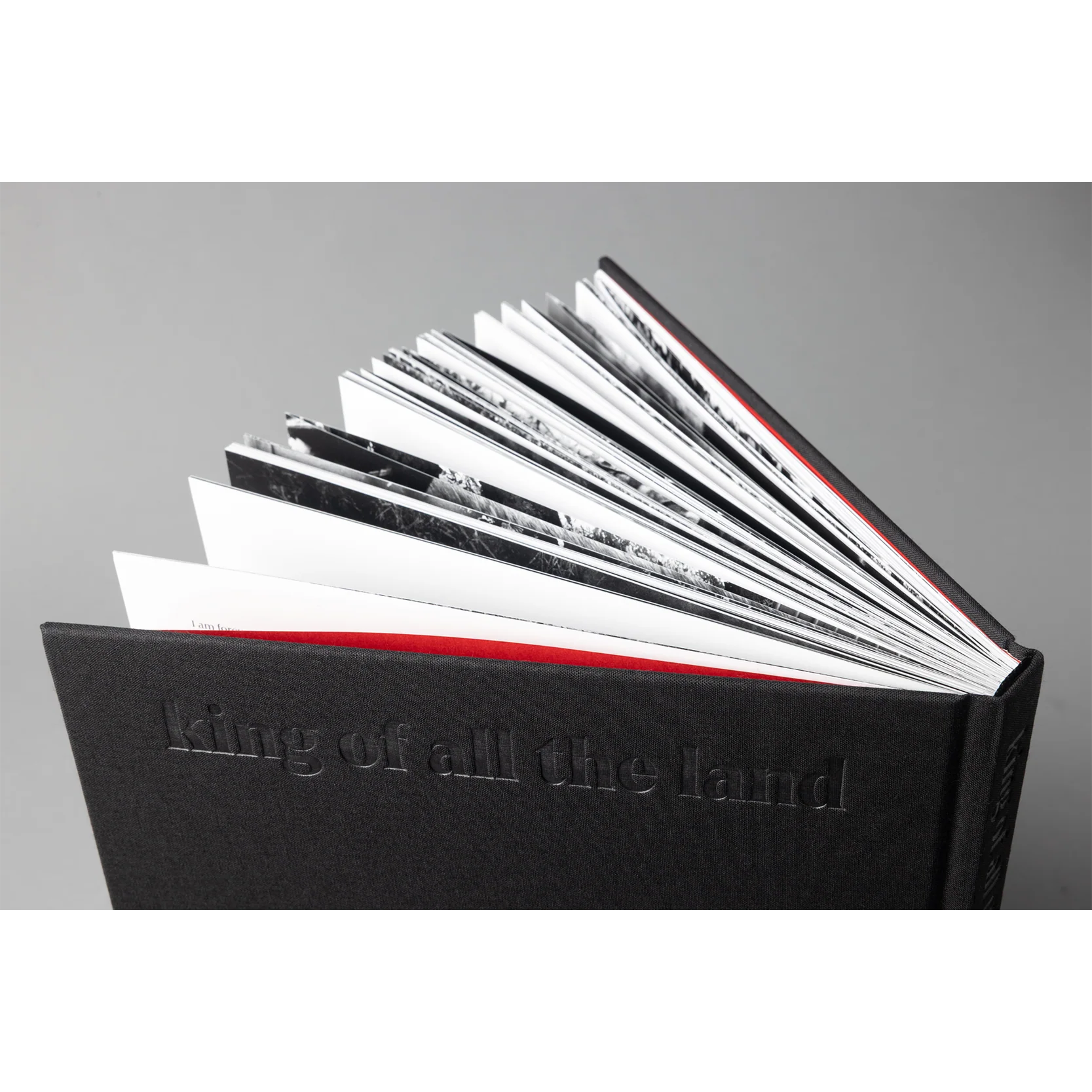 The King of All the Land Book - Image 14