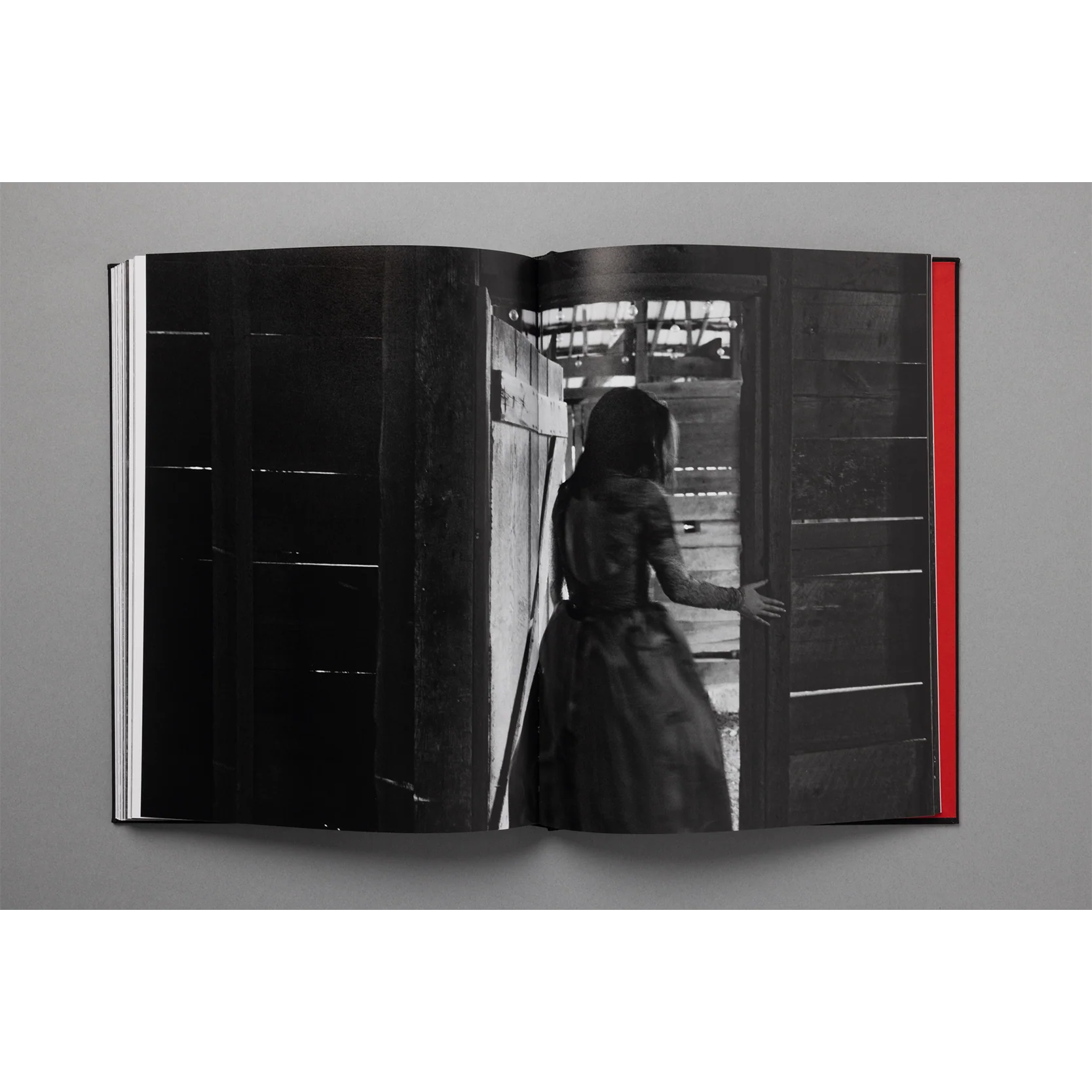 The King of All the Land Book - Image 3