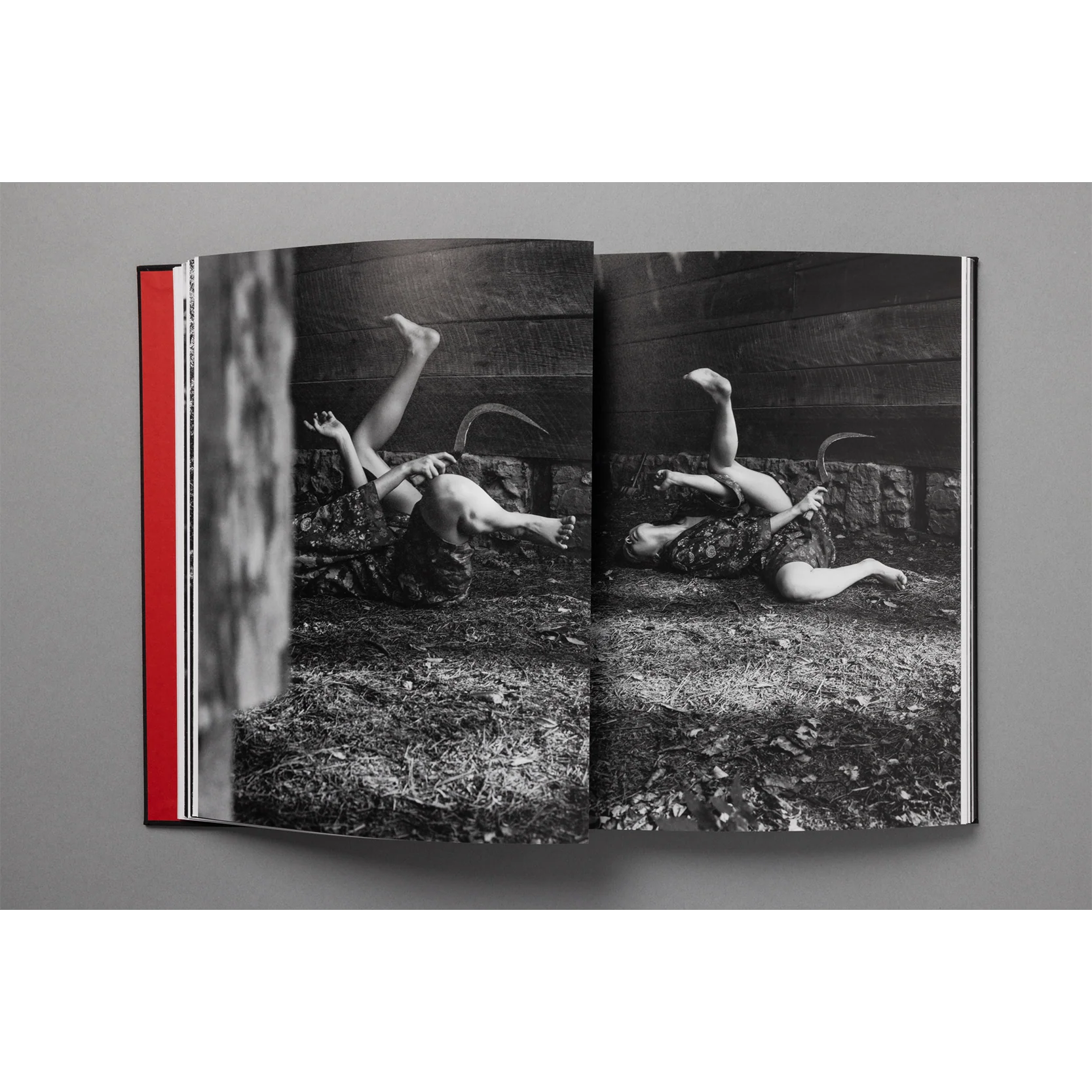 The King of All the Land Book - Image 4