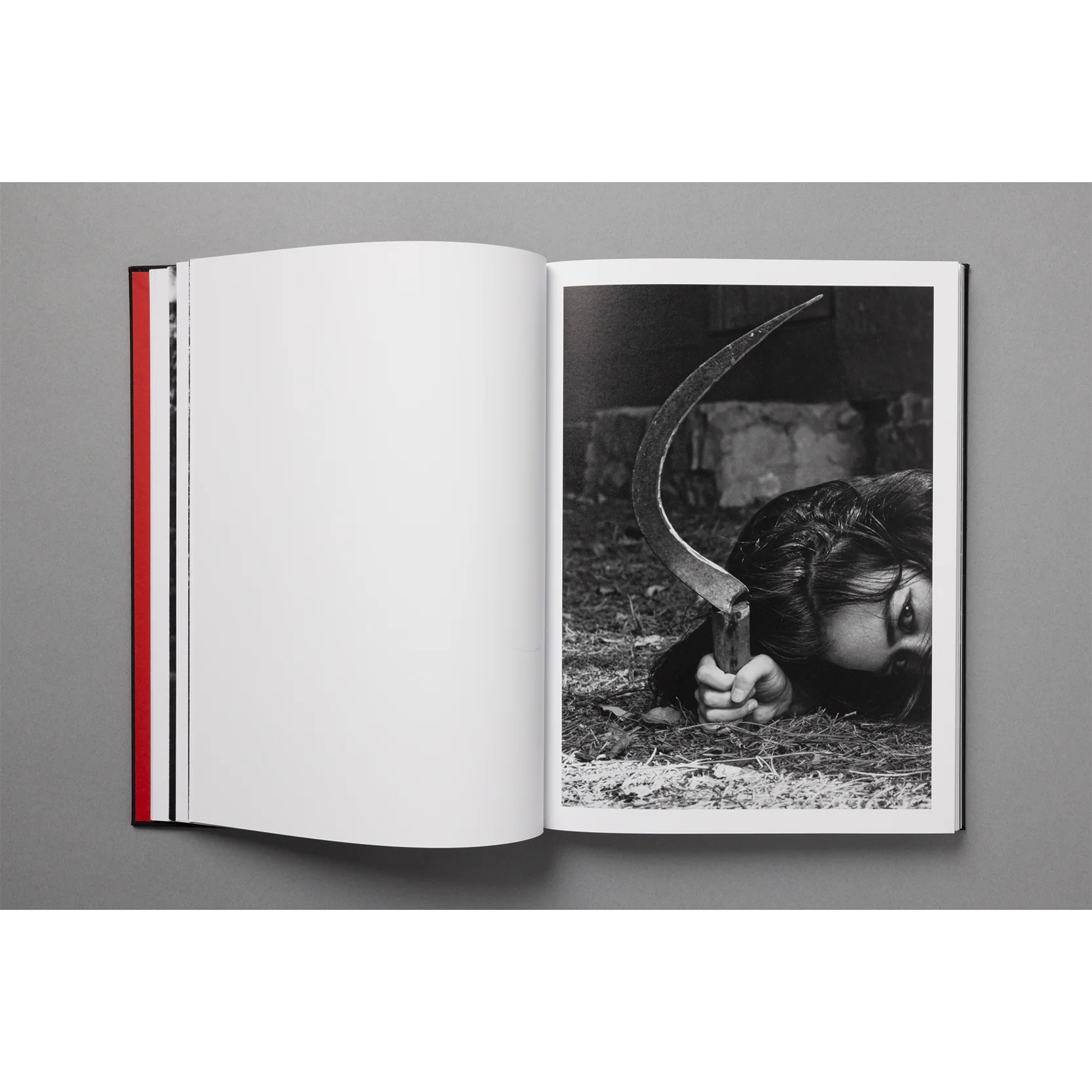 The King of All the Land Book - Image 5
