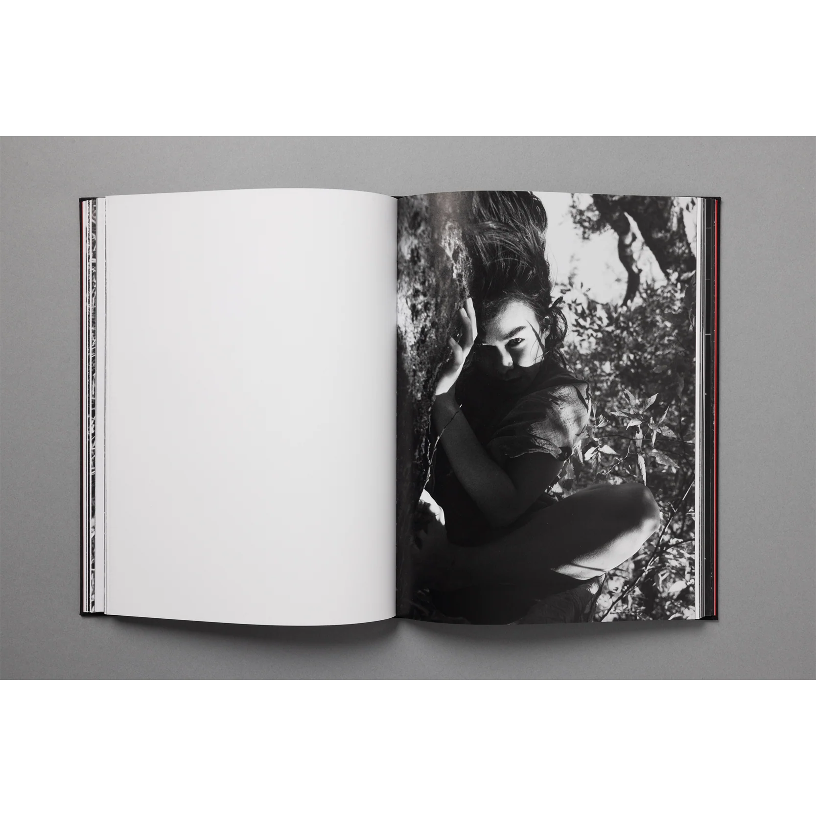 The King of All the Land Book - Image 6