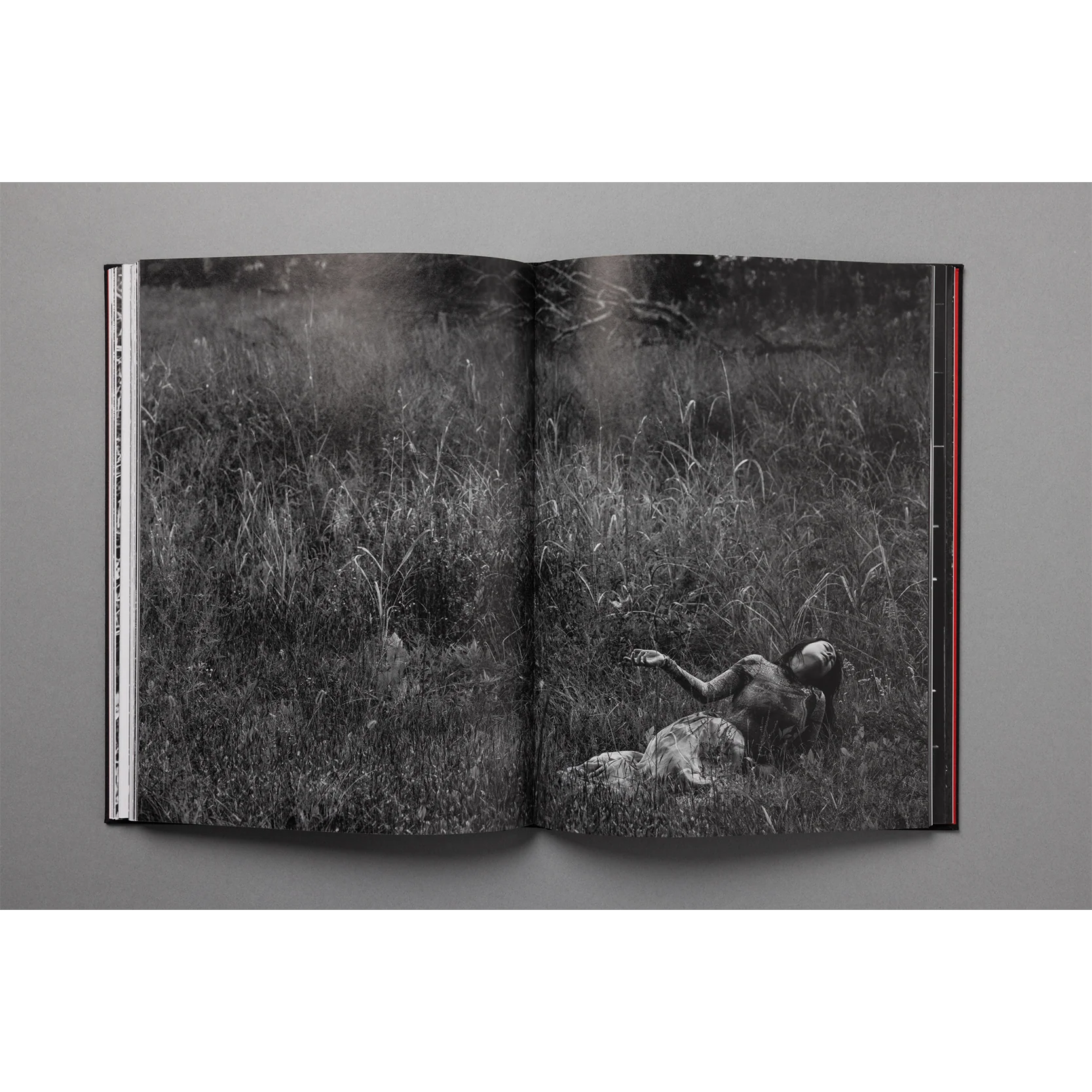 The King of All the Land Book - Image 7