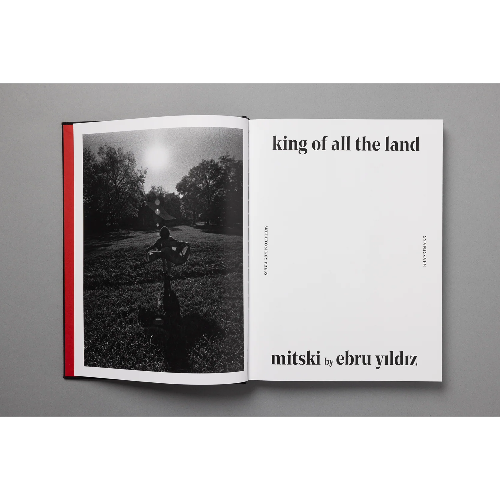 The King of All the Land Book - Image 8