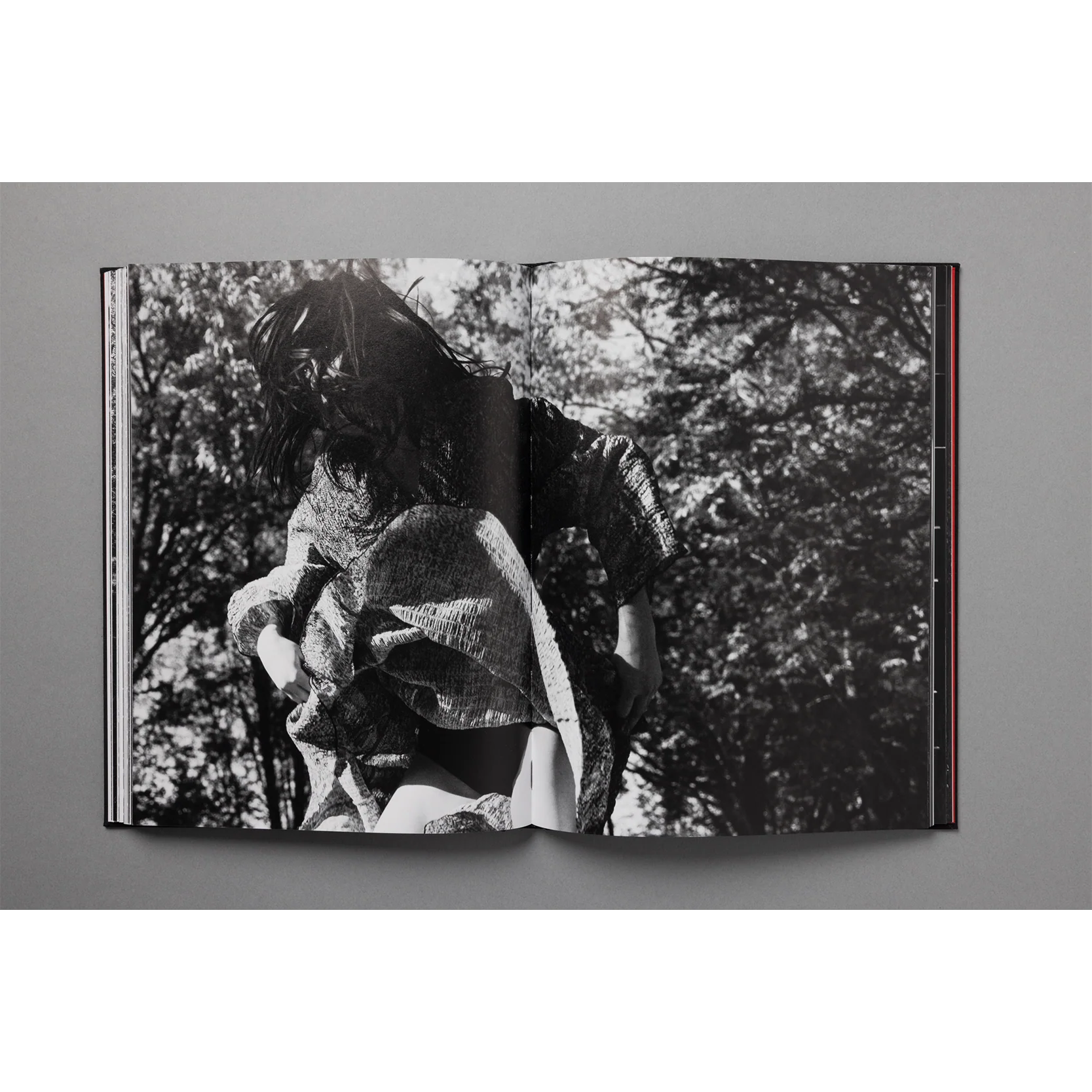 The King of All the Land Book - Image 9